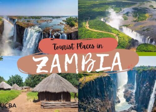 Zambia